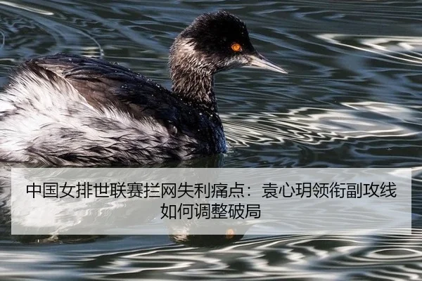 中国女排世联赛拦网失利痛点：袁心玥领衔副攻线如何调整破局