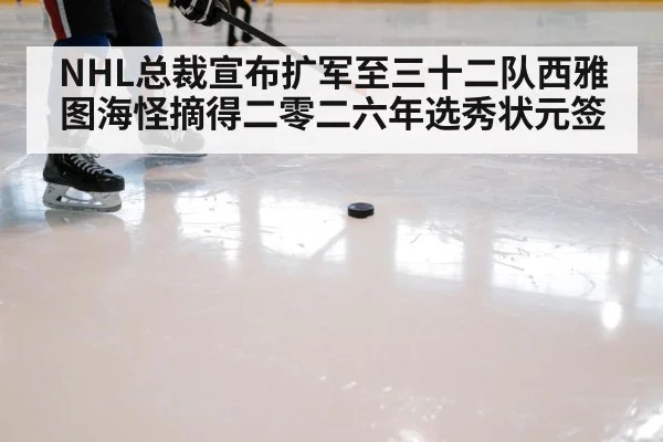 ice hockey stick and puck